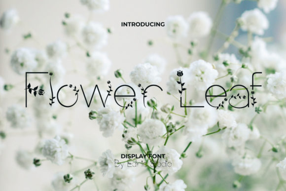 Flower Leaf Display Font for Fresh Brand Identities