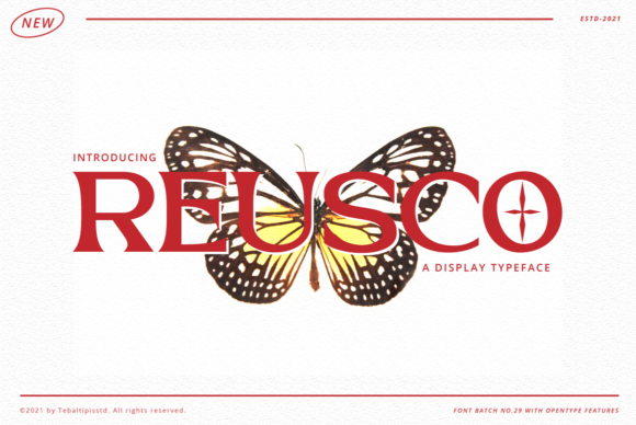 How Reusco is Helping Businesses Achieve a Polished Brand Identity